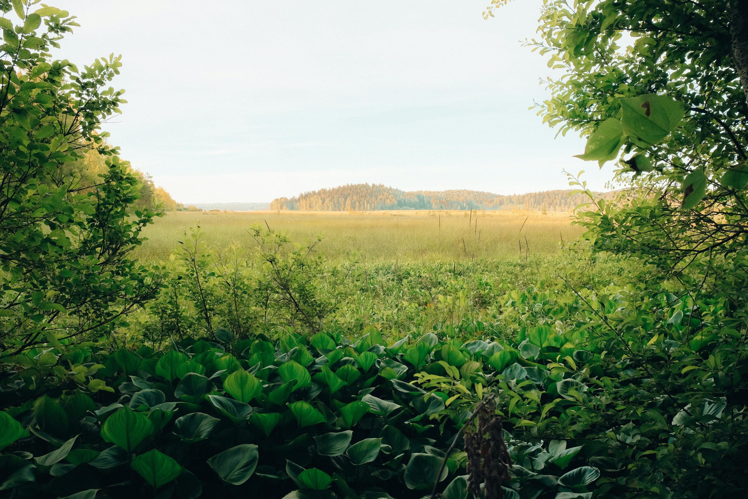 agricultural-land-investment