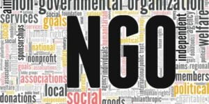 Top Charity and Funding Non-Government Organizations (NGOs) in the US Supporting Worldwide